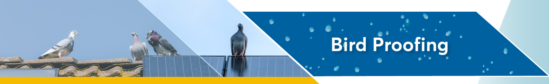 bird-proofing Service