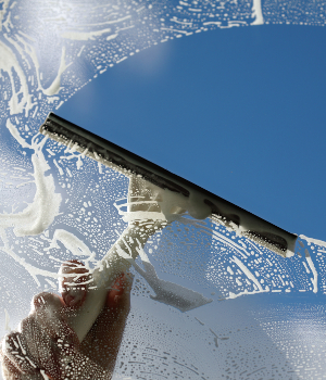 Window Washing services