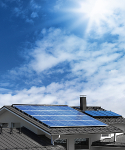 Solar Panel Cleaning